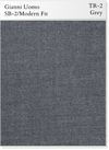 TR-2 GREY